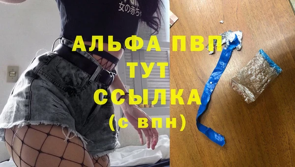 spice Кинешма